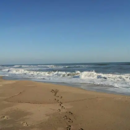 Plage naturelle Vendres 1024x681 1