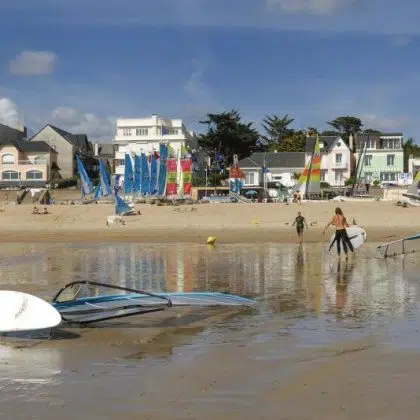 ajoncs dor plage la baule