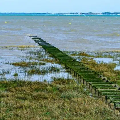 oleron loisirs alentours marais