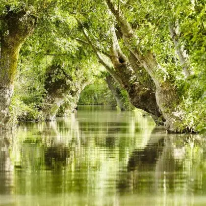 les pirons marais poitevin tourisme